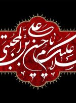 ببینید | دفاع امام حسین از امام حسن در مقابل فردی که ایشان را به خاطر صلح سرزنش کرد!