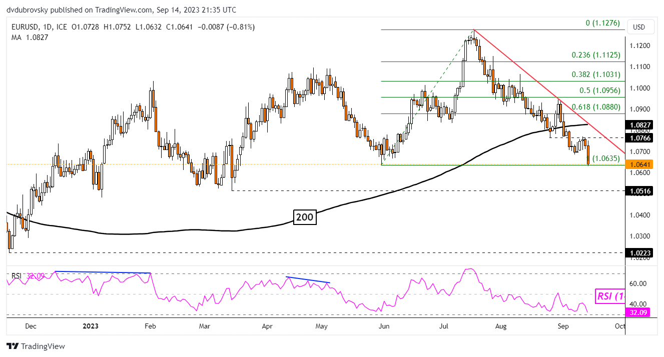 Euro Daily Chart