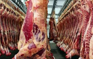 قیمت گوشت این‌گونه می‌شود/ خبر مهم قائم‌مقام وزیر جهادکشاورزی درباره قیمت گوشت
