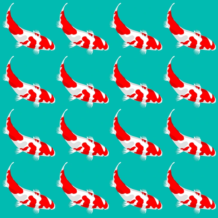 کدامیک از بقیه متفاوت‌تر است؟