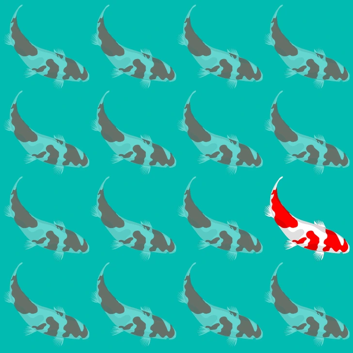 ماهی متفاوت تصویر