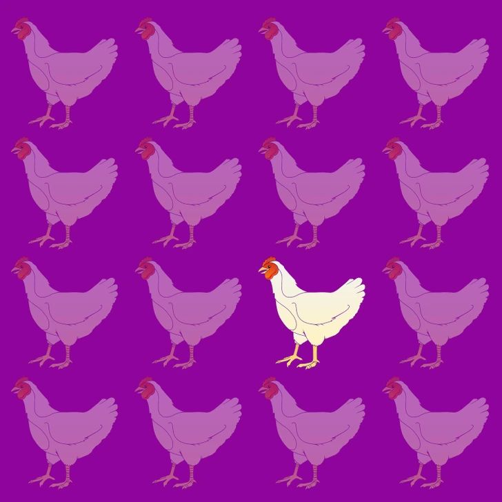 تست هوش مرغ متفاوت درون تصویر