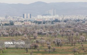 پیشنهاد ثبت جهانی باغستان سنتی قزوین با نام باغات کاسپین