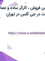 استخدام کارشناس فروش، کارگر ساده و نصاب فنی با حقوق ثابت در جی گلس در تهران