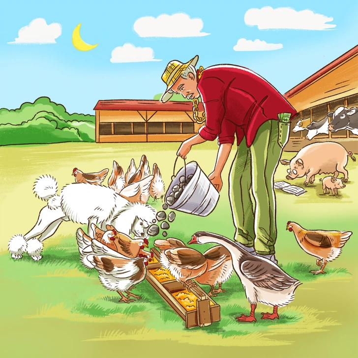 چه چیزهایی در این تصویر اشتباه است؟