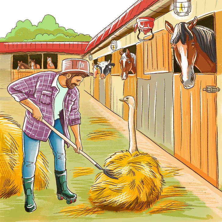 آیا درون اسطبل همه چیز سرجای خودش قرار دارد؟