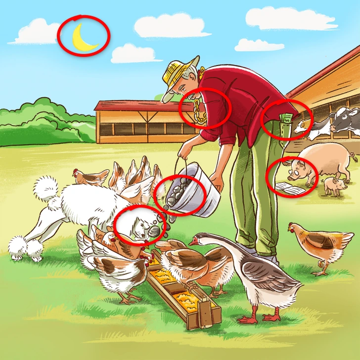 6 اشتباه در این تصویر وجود دارد