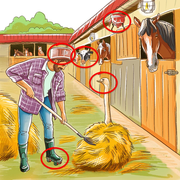 تست هوش امروز - چهار اشتباه در یک تصویر