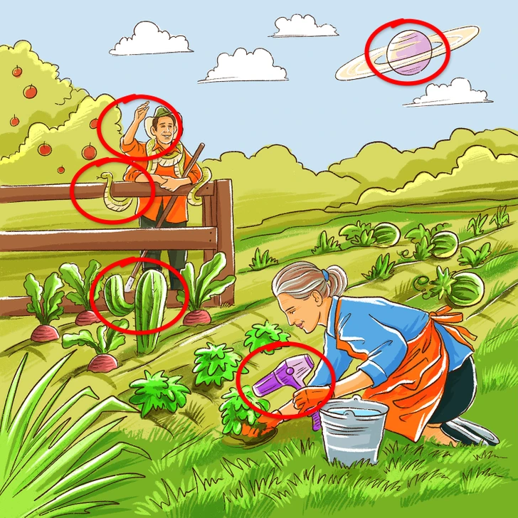 در این تصویر 5 خطا وجود دارد