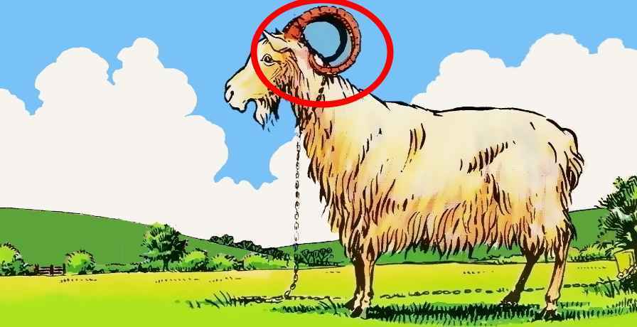 اشتباه تصویر مزرعه