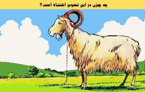آزمون شناسایی اشتباه مزرعه: در 5 ثانیه بگویید مشکل عکس چیست؟