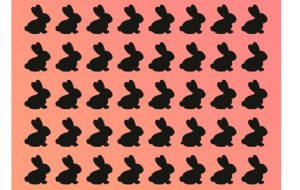 تست تشخیص خرگوش متفاوت در عرض 11 ثانیه