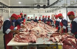 حرف‌های مهم مقام وزارت جهاد درباره بازار گوشت / سه هفته گوشت نخرید