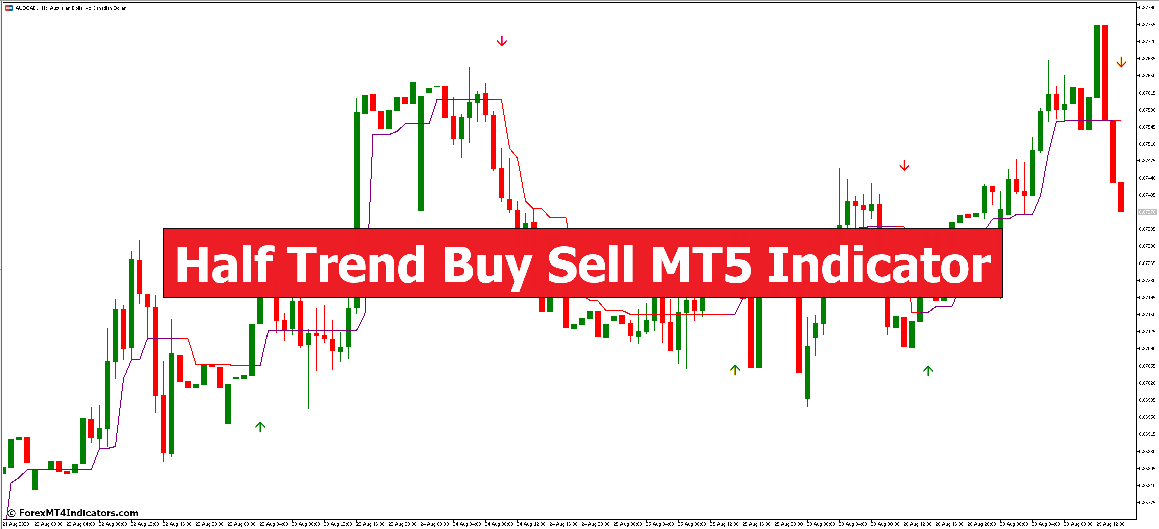 Half Trend Buy Sell MT5 Indicator