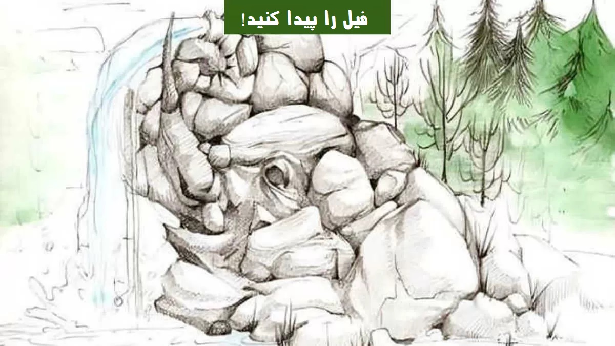 آزمون بینایی فیل مخفی