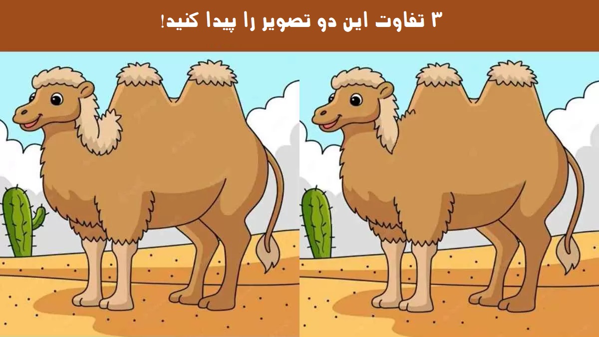 آزمون تشخیص تفاوت تصویر بیابان