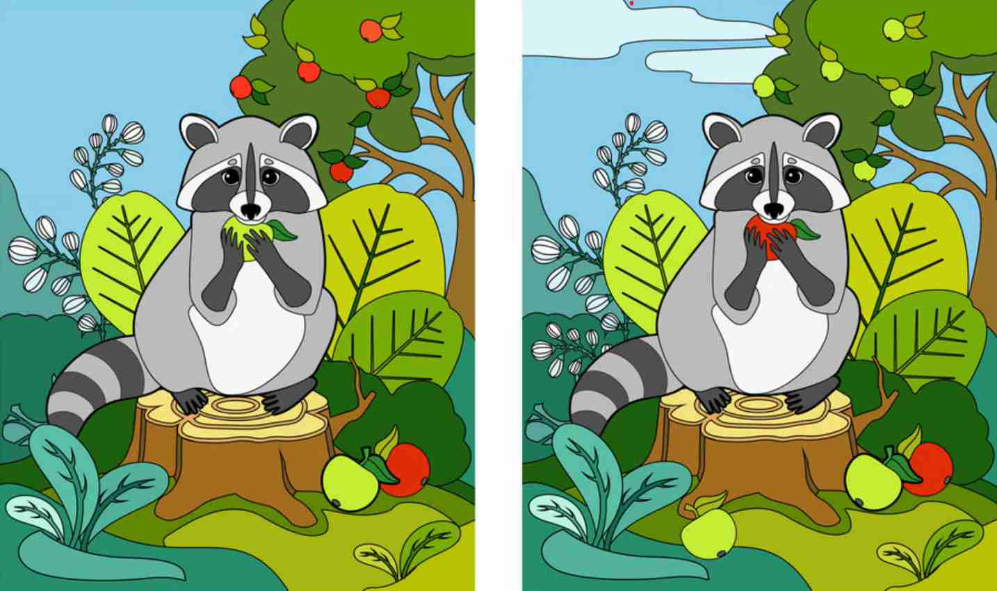 آزمون تشخیص تفاوت تصویر راکون