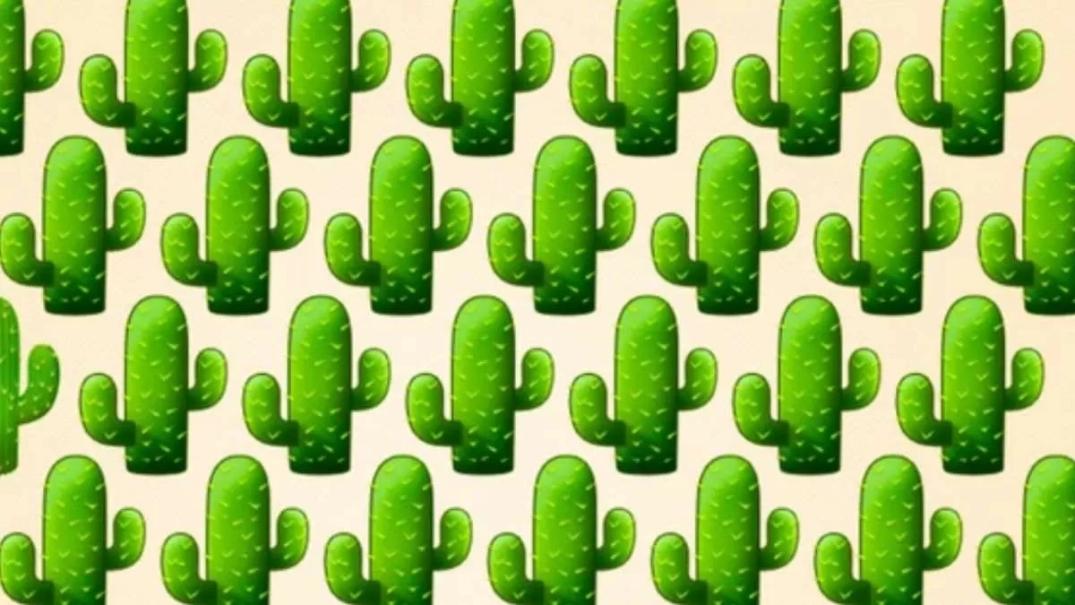 آزمون تشخیص کاکتوس متفاوت