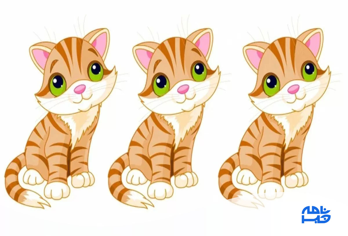 آزمون تشخیص گربه متفاوت