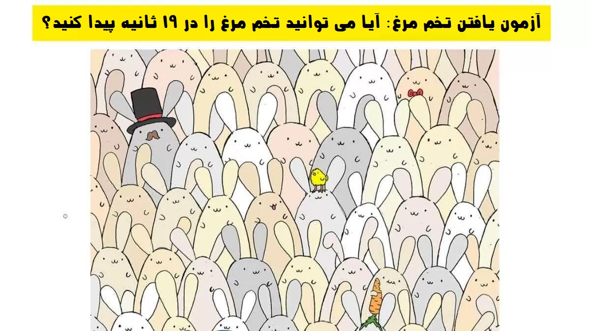 آزمون یافتن تخم مرغ