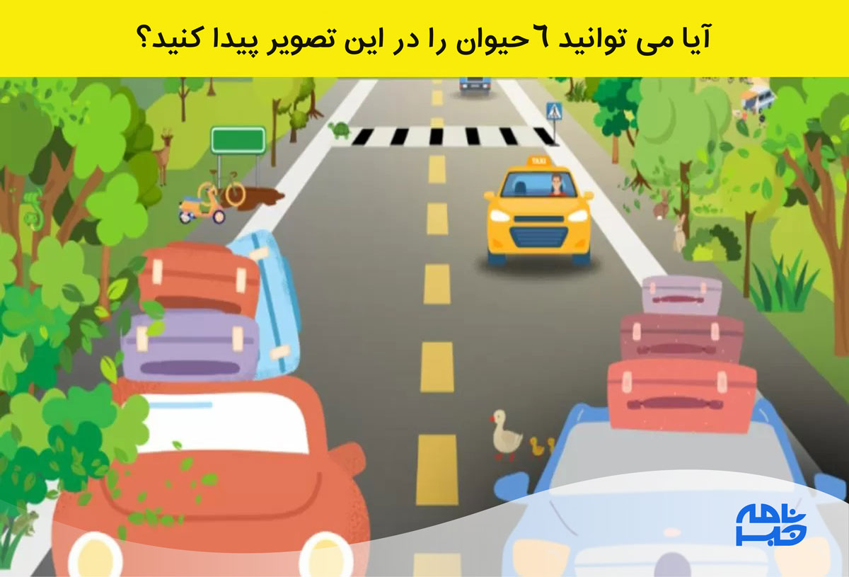 آزمون یافتن حیوانات