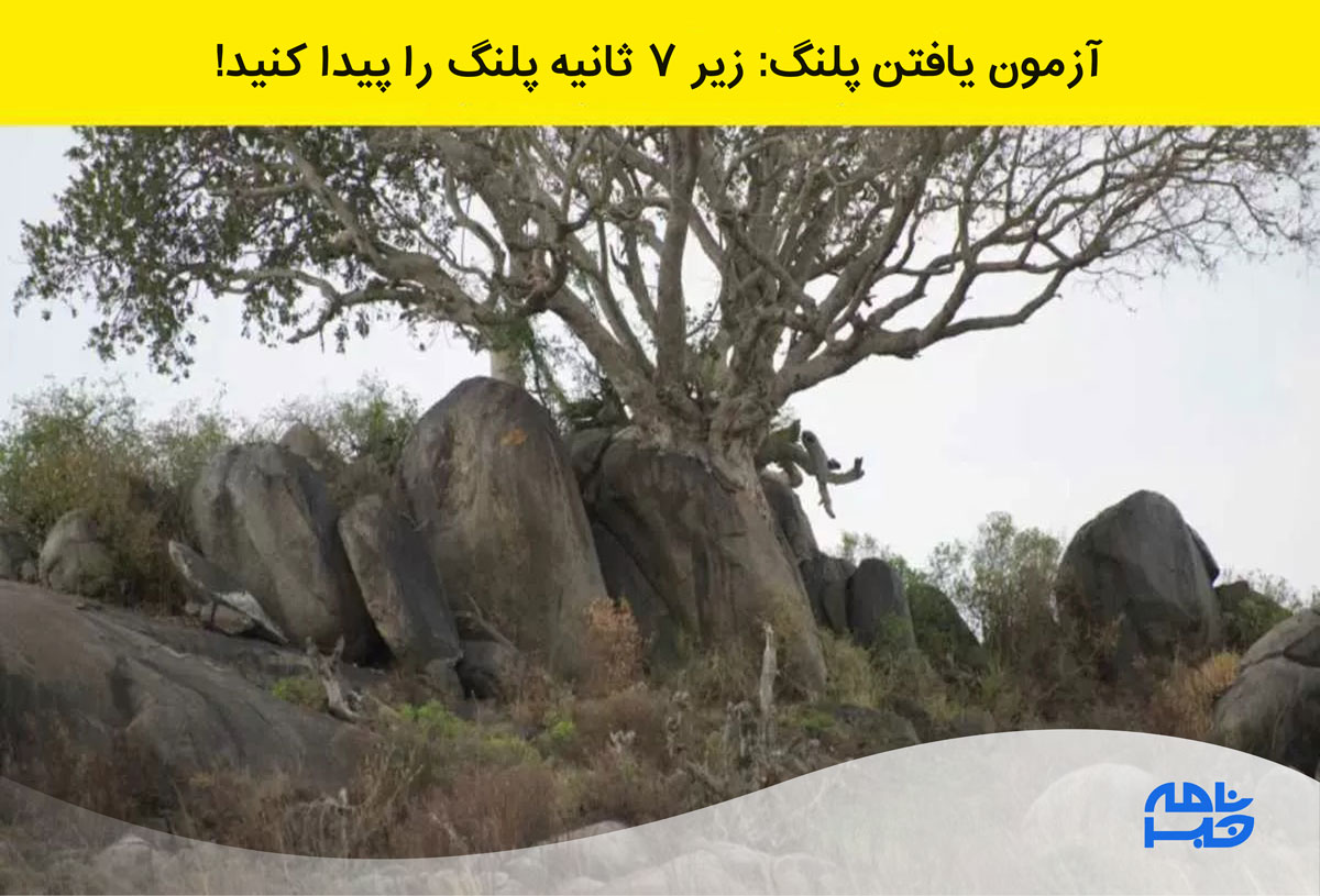 آزمون یافتن پلنگ