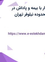 استخدام حسابدار با بیمه و پاداش در ELEDOCK در محدوده نیلوفر تهران