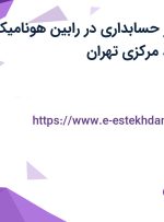 استخدام کارآموز حسابداری در رابین هونامیک برنا در جنت آباد مرکزی تهران