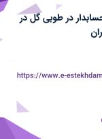 استخدام کمک حسابدار با بیمه در طوبی گل در محدوده اباذر تهران