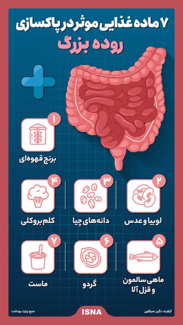 اینفوگرافیک / ۷ ماده غذایی موثر در پاکسازی روده بزرگ