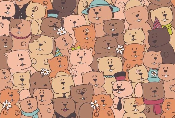 آزمون سیب زمینی پنهان