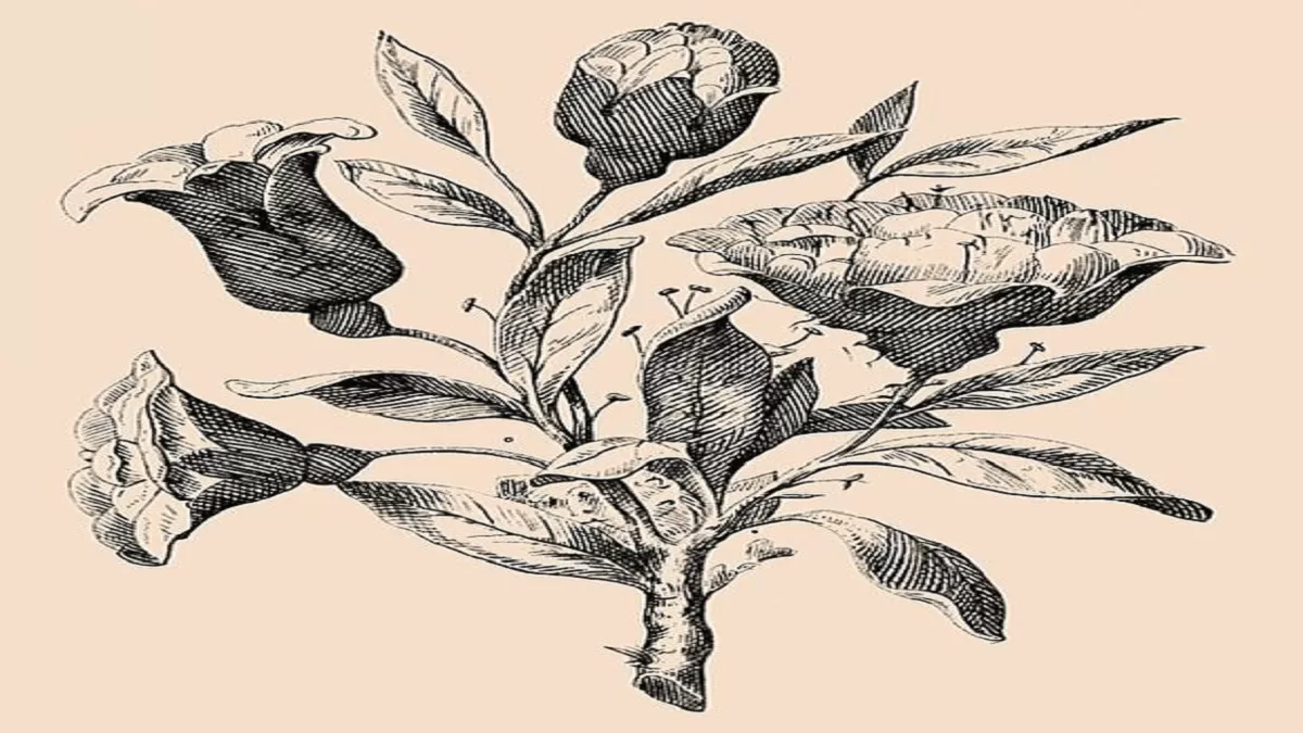 آزمون دقت در تصویر