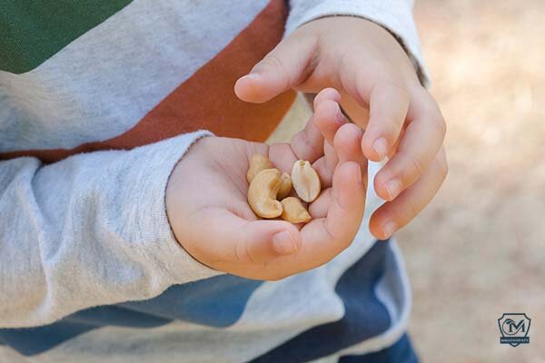 خواص شگفت‌انگیز بادام هندی برای سلامتی/ مقدار مصرف مجاز روزانه