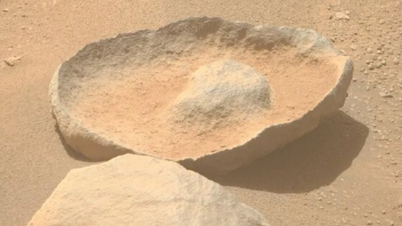 در مریخ آووکادو پیدا شد! + عکس