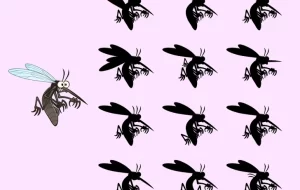 معماهای تصویری سخت برای تقویت ضریب هوشی معماهای تصویری سخت برای تقویت ضریب هوشی