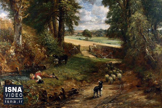 ویدیو / کشف «مزرعه ذرت» بعد از ۴۰ سال در بریتانیا