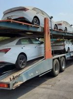 بیش از یکهزار خودرو خارجی از بندر شهید باهنر وارد شد