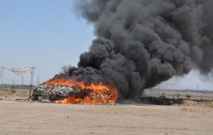 ماجرای امحای ۲۵۰ اصله نخل در بندر لنگه چه بود؟-راهبرد معاصر ماجرای امحای ۲۵۰ اصله نخل در بندر لنگه چه بود؟-راهبرد معاصر