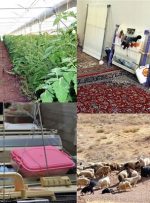 چه مقدار از تسهیلات اشتغال روستایی باقی مانده است؟-راهبرد معاصر چه مقدار از تسهیلات اشتغال روستایی باقی مانده است؟-راهبرد معاصر