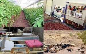 چه مقدار از تسهیلات اشتغال روستایی باقی مانده است؟-راهبرد معاصر چه مقدار از تسهیلات اشتغال روستایی باقی مانده است؟-راهبرد معاصر