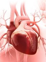 راهکارهای طب ایرانی برای حفظ سلامت قلب