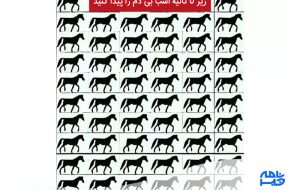 آزمون تشخیص اسب بی دم در 8 ثانیه، چشمان خود را بیازمایید! آزمون تشخیص اسب بی دم در 8 ثانیه، چشمان خود را بیازمایید!