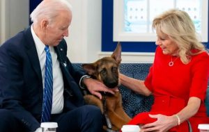 «ژرمن شپرد» سگ بایدن از کاخ سفید اخراج شد