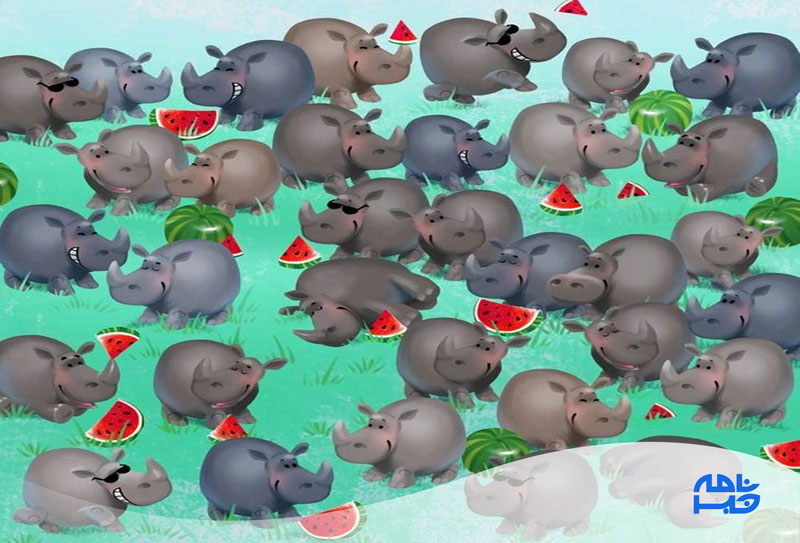 گله کرگدن ها