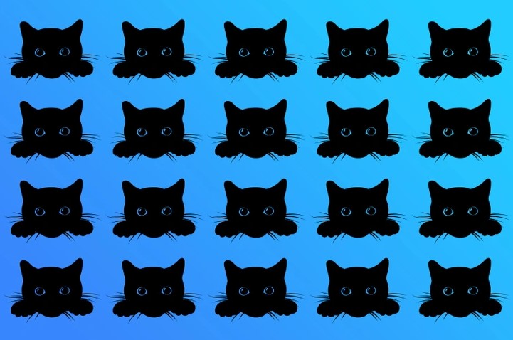 گربه های سیاه