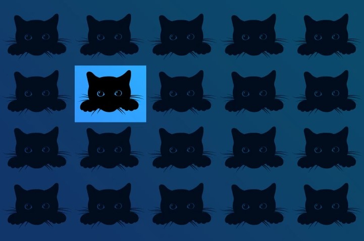 گربه سیاه متفاوت