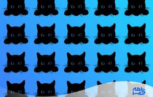 آزمون گربه سیاه متفاوت: زیر 15 ثانیه پیشی متفاوت را شناسایی کنید!