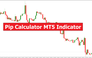 Pip Calculator MT5 Indicator – ForexMT4Indicators.com
