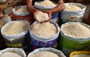 خبر جدید برای بازار برنج / واردات چه شد؟