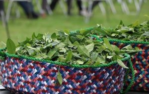 هشدار فعالان صنعت چای درباره واردات مشروط-راهبرد معاصر